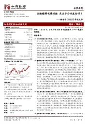 年报点评：业绩稳增长将延续 关注非公开发行项目