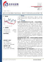 量价齐升助2018年盈利改善，2019年有望迎来成本端价格下降