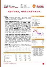 业绩符合预期，新药板块销售实现突破