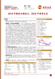 2018年铸就业绩高点，2019年重新出发