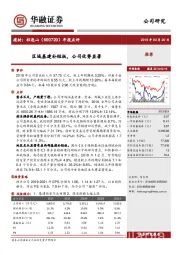 年报点评：区域基建补短板，公司优势显著