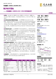 2018年年报点评：靴子终于落地