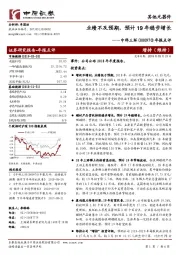 年报点评：业绩不及预期，预计19年稳步增长