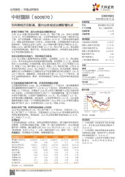 毛利率创历史新高，国内业务或成业绩新增长点