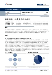 其貌不扬，但受益于行业成长