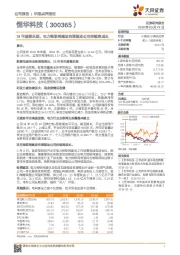 19年展望乐观，电力物联网建设有望驱动公司持续高成长