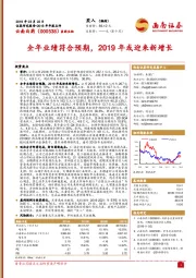 2018年年报点评:全年业绩符合预期,2019年或迎来新增长