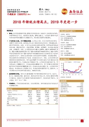 2018年铸就业绩高点，2019年更进一步