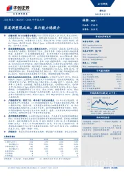 2018年年报点评:渠道调整现成效,盈利能力稳提升
