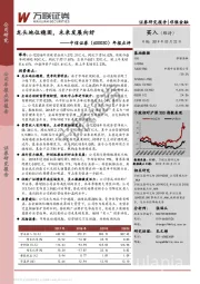 年报点评:龙头地位稳固,未来发展向好