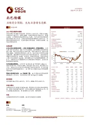 业绩符合预期，充电业务增长亮眼
