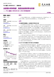 2018年年报点评:业绩增长保持稳健,重组加速面板事业发展