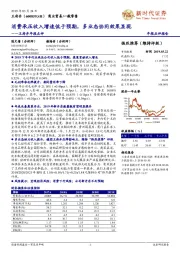 年报点评：消费承压收入增速低于预期，多业态协同效果显现