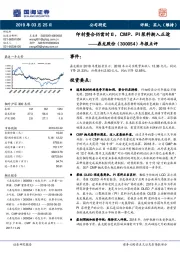 年报点评：印材整合仍需时日，CMP、PI浆料渐入正途