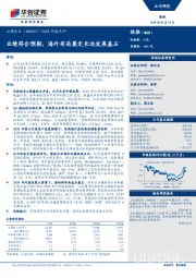 2018年报点评:业绩符合预期,海外布局奠定长远发展基石