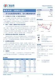 多元化纵深推动增长，Q4业绩扭转向好