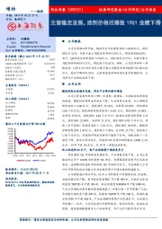 主营稳定发展，助剂价格回落致19Q1业绩下滑