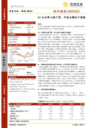 Q4毛利率大幅下滑，年报业绩低于预期