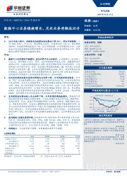 2018年报点评:数据中心业务稳健增长,光伏业务将触底回升