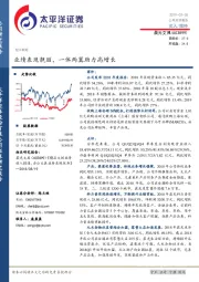 业绩表现靓丽，一体两翼助力高增长