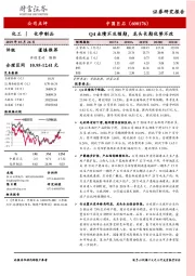 Q4业绩不及预期，龙头长期优势不改