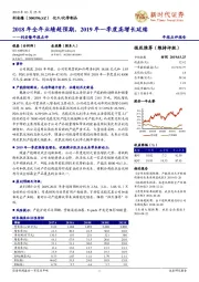 年报点评：2018年全年业绩超预期，2019年一季度高增长延续