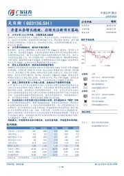 存量业务增长稳健，后续关注新项目落地