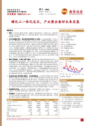 磷化工一体化龙头,产业整合看好未来发展