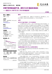 2018年年报点评:价格下跌导致业绩下滑,柔性OLED驱动未来成长