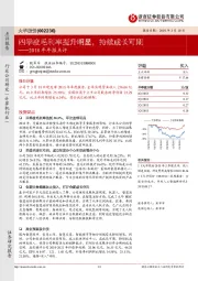 2018年年报点评：四季度毛利率提升明显，持续成长可期