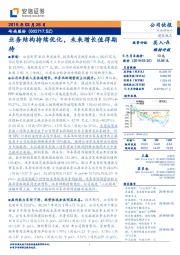业务结构持续优化,未来增长值得期待