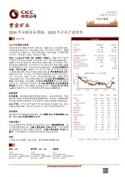 2018年业绩符合预期；2019年计划产量增厚