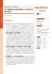2018年报点评：投产顺利助力业绩高增长，抗老剂龙头地位夯实