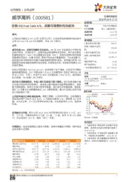 收购IRD Fuel Cells A/S，战略布局燃料电池板块