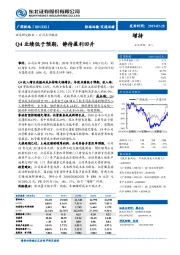 Q4业绩低于预期，静待盈利回升