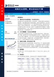 深度报告：战略定位清晰，新业务成长可期
