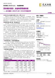 2018年年报点评:营收增长强劲,由量转质稳健发展