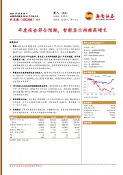 年度报告符合预期，智能显示持续高增长