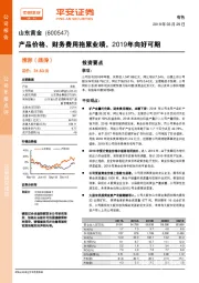 产品价格、财务费用拖累业绩，2019年向好可期