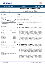 年报点评：增长符合前序预期，稳健布局渐获成效