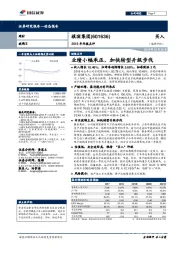 2018年年报点评：业绩小幅承压，加快转型升级步伐