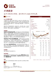 18年业绩符合预期，看好沸石及OLED材料发展