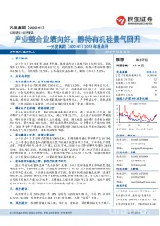2018年报点评:产业整合业绩向好,静待有机硅景气回升
