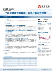 19Q1业绩预告超预期，大客户新业务放量