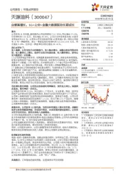 业绩高增长，5G+公安+金融大数据驱动长期成长