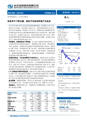 财务审计下修业绩，紧抓半导体材料国产化良机