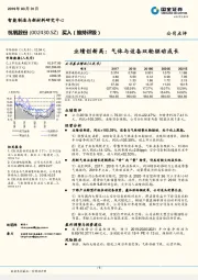 业绩创新高:气体与设备双轮驱动成长
