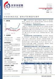 行业龙头地位凸显，看好公司长期竞争力提升