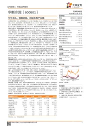 华中龙头,西南明珠,积极布局产业链