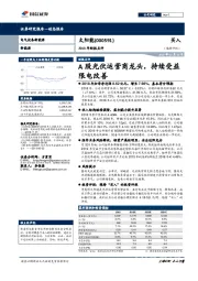 2018年财报点评：A股光伏运营商龙头，持续受益限电改善